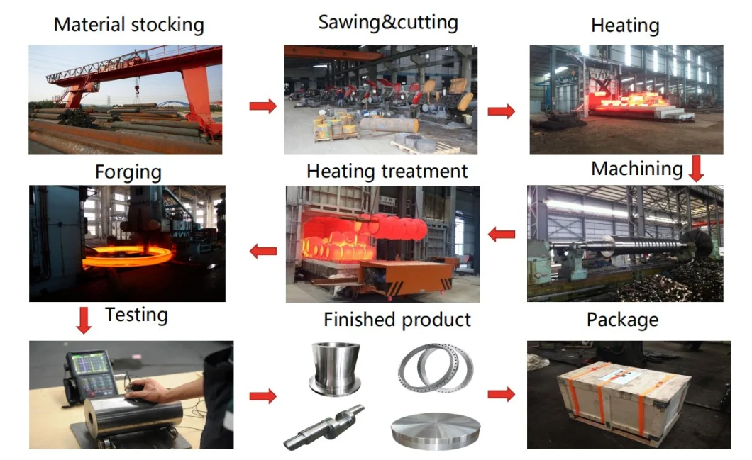 Hot Forging Steel Orifice Flange