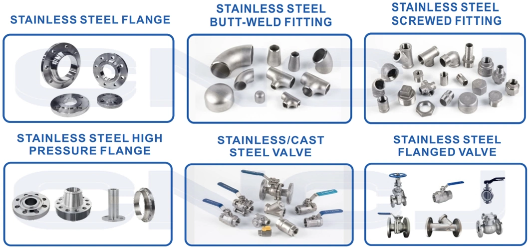 ANSI DIN Standard A105 Carbon Steel Plate Flat Face Pipe Slip on Flange