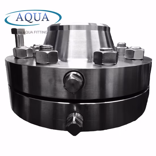 Brida de orificio de acero inoxidable ANSI DIN (S304 316 403 F304, F310, F316)
