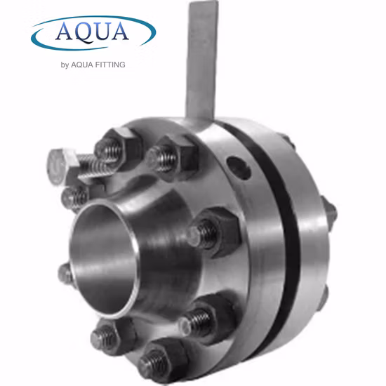 ANSI B16.5 Clase 150-2000 Brida de orificio RF de acero al carbono forjado